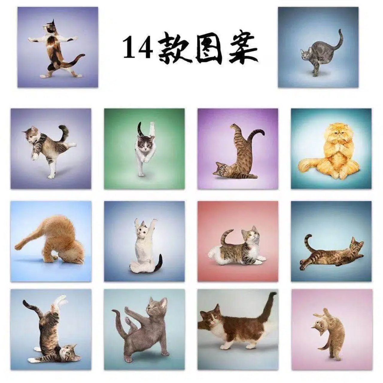500枚入り 可愛い猫ロールステッカー 面白いヨガ猫 カワイ - Art Craft Journal のレビューと価格